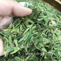 Green tea wholesaler usa